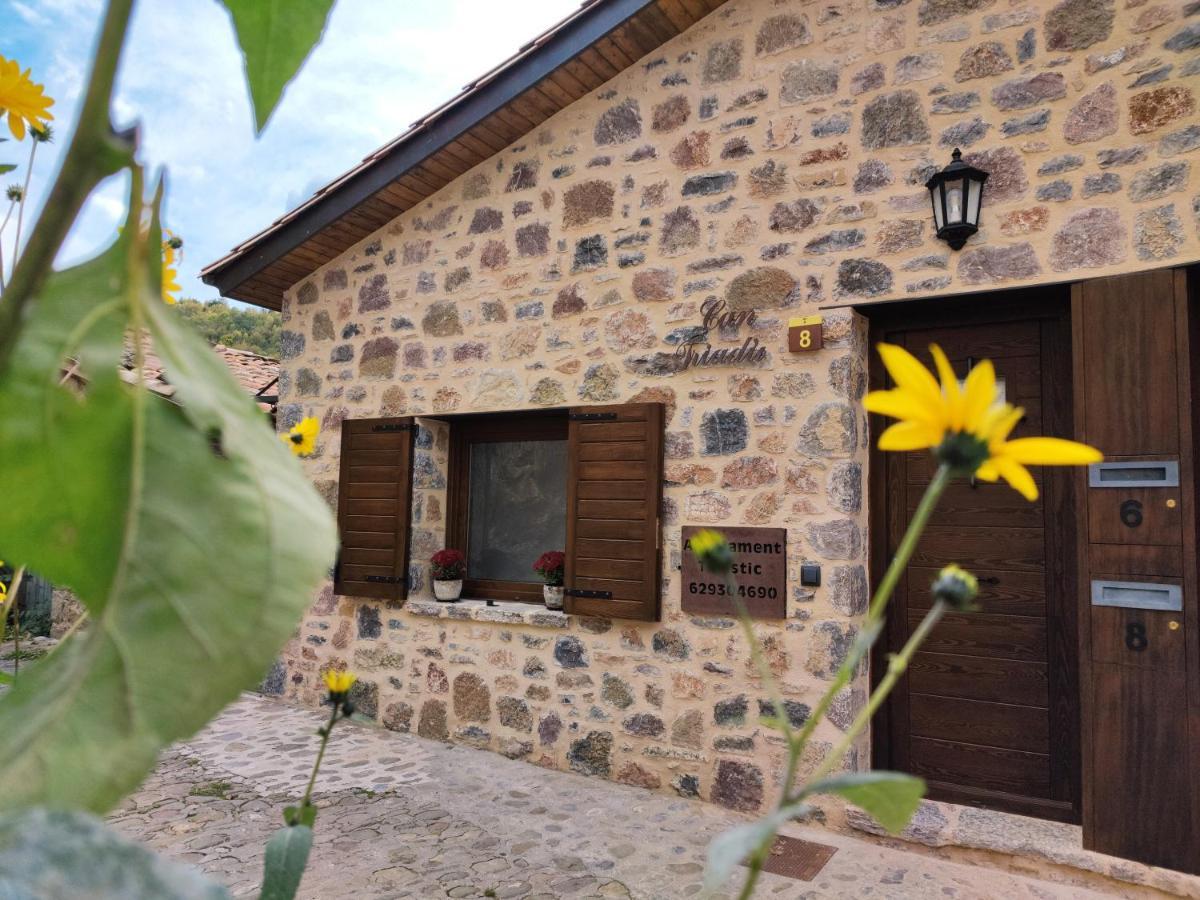 Can Triadu Camprodon Exterior foto